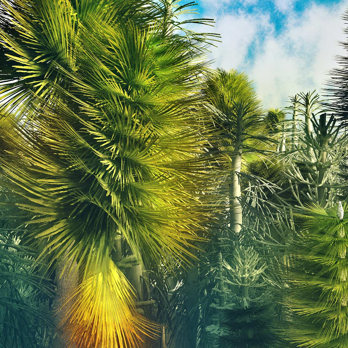 Deforestation_subpic_G7