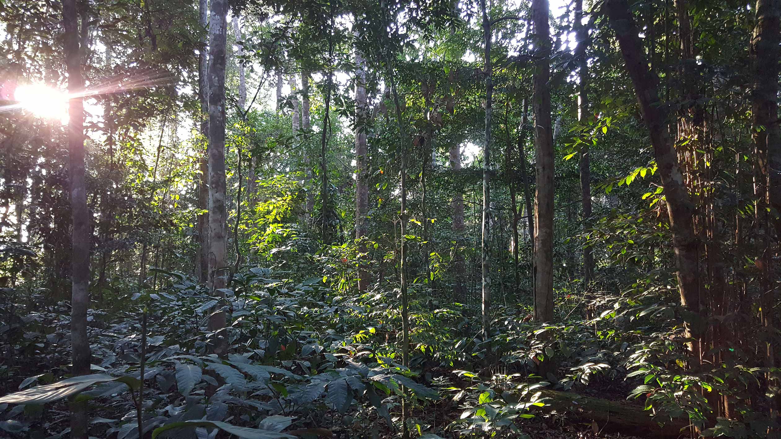 CfRN_Gabon_007
