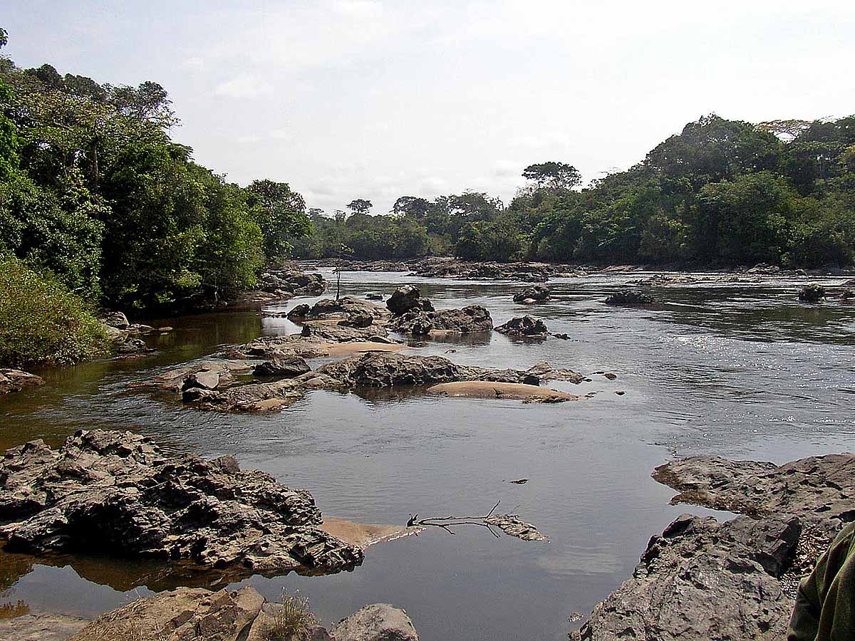 Epulu_Okapi_Reserve