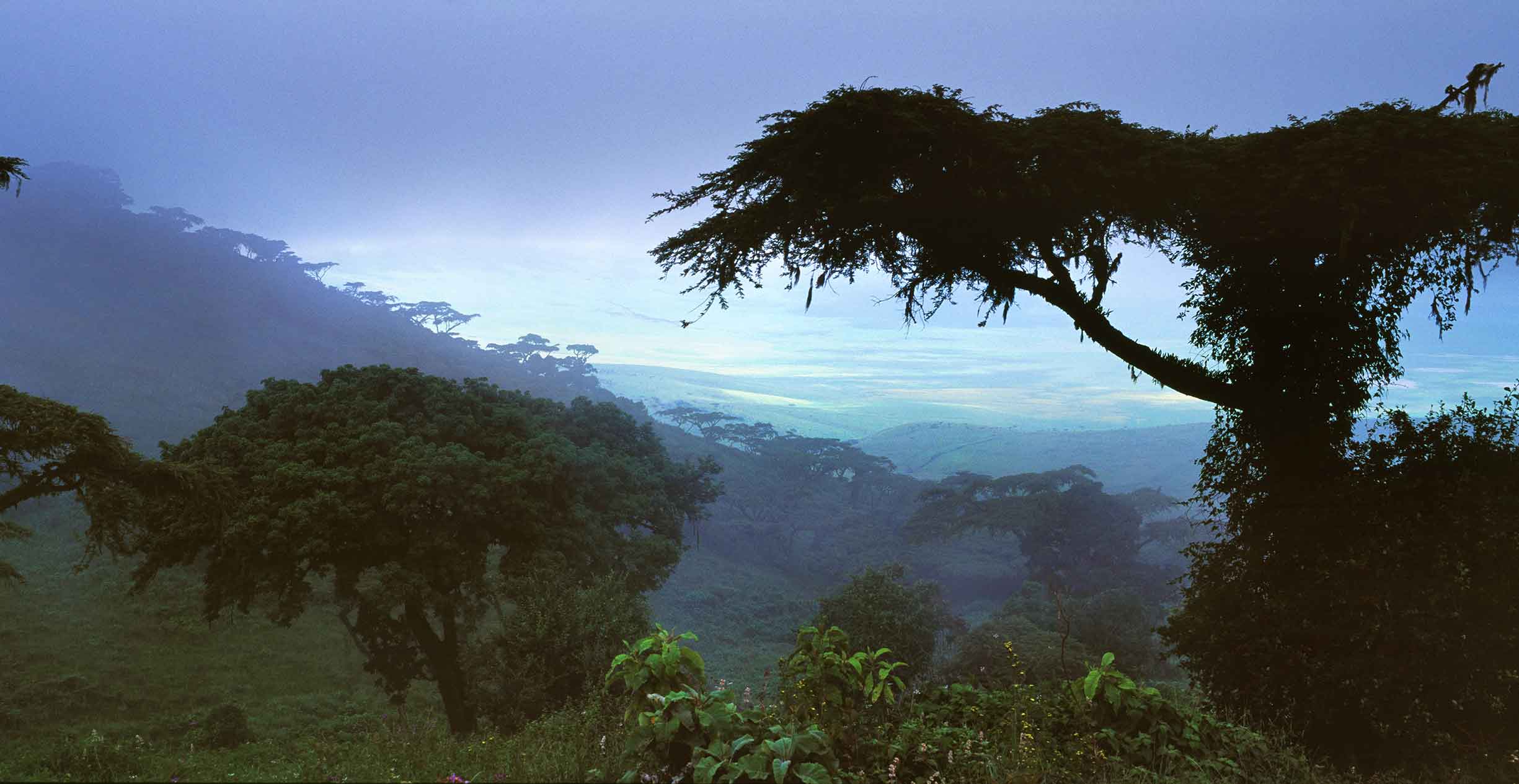 Gabon00_CfRN_CountryProfile