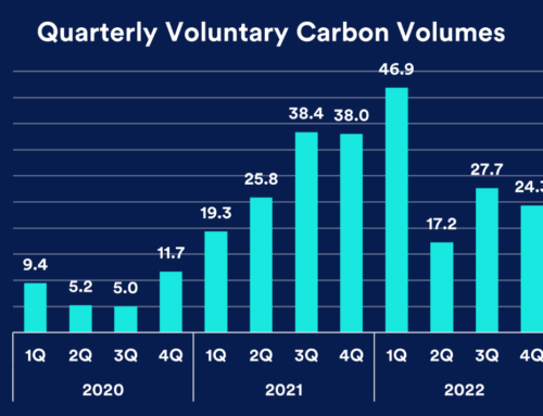 IETA publishes false claims about REDD+ sovereign carbon, as voluntary carbon market stagnates in Q1