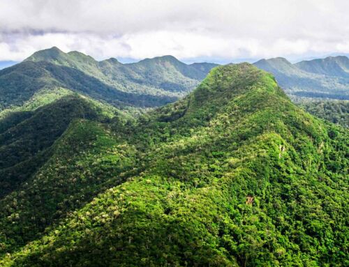 Belize Seeks CfRN Support on UNFCCC REDD+ Framework