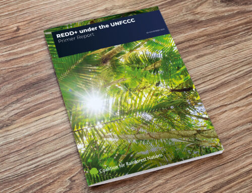 New Guidelines Report on UNFCCC REDD+ and Article 6 Carbon Credits published.