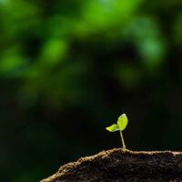 about_ourstory_banner_C3