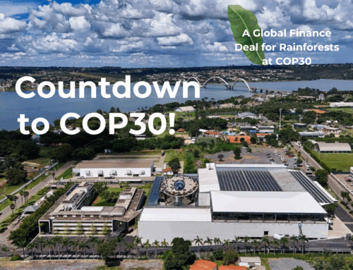 Countdown to COP30!